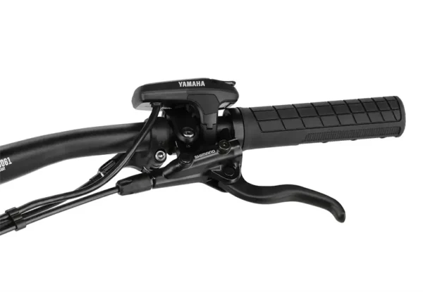 Rower elektryczny R-RAYMON FullRay 150E 10.0 - obrazek 6