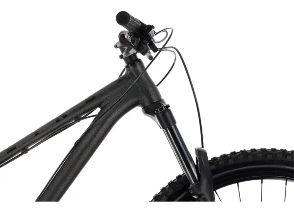 Rower MTB NS BIKES Eccentric Alu 29 - obrazek 3