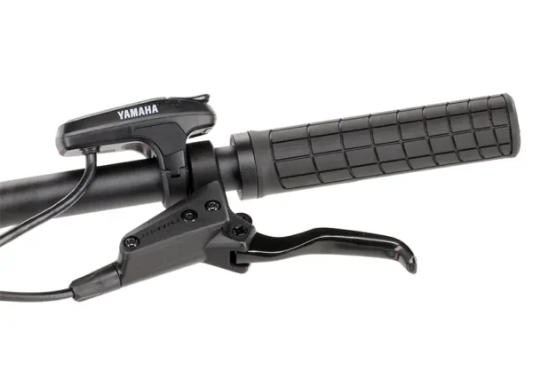 Rower elektryczny R-RAYMON HardRay E 4.0 29 - obrazek 15