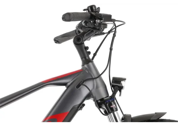 Rower elektryczny R-RAYMON TourRay E 6.0 Gent 9S M350 - obrazek 3