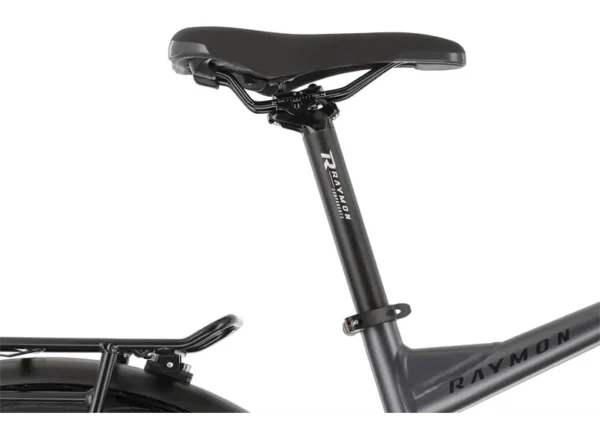 Rower elektryczny R-RAYMON TourRay E 6.0 Gent 9S M350 - obrazek 4