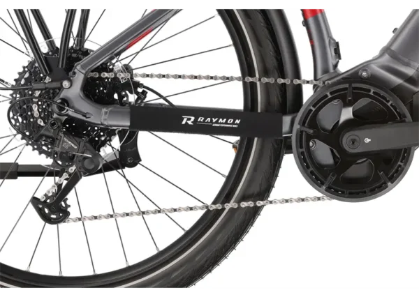 Rower elektryczny R-RAYMON TourRay E 6.0 Gent 9S M350 - obrazek 6