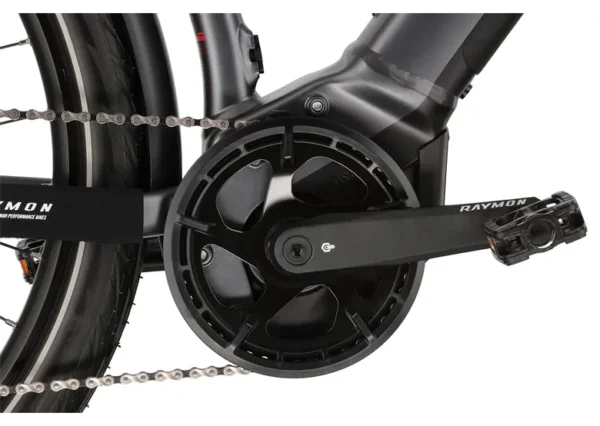 Rower elektryczny R-RAYMON TourRay E 6.0 Gent 9S M350 - obrazek 7