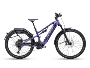 Rower elektryczny Polygon Siskiu HE-P